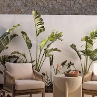 Anemelia Hotel Mykonos – Affordable hotel in Mykonos