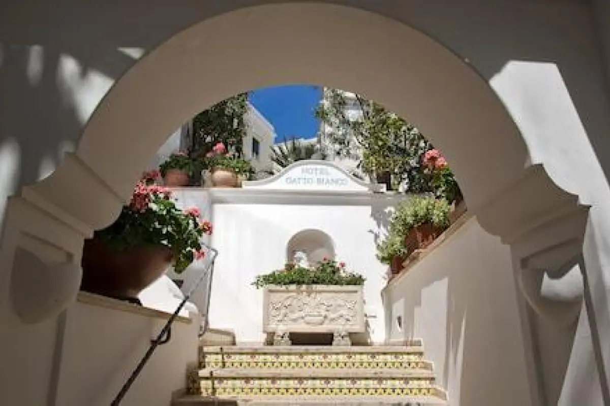 Gatto Bianco Hotel & SPA – Affordable hotel in Capri