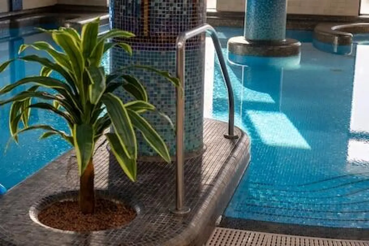 Hotel Golden Palace – Affordable hotel in Goed