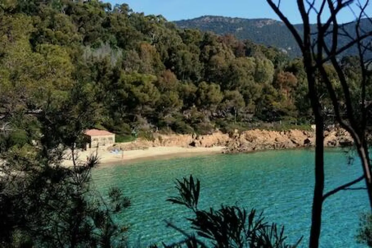 Le Rabelais – Affordable hotel in Le Lavandou