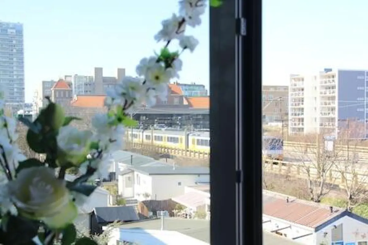 Hotel La Rosa Amsterdam Beach – Affordable hotel in Zandvoort