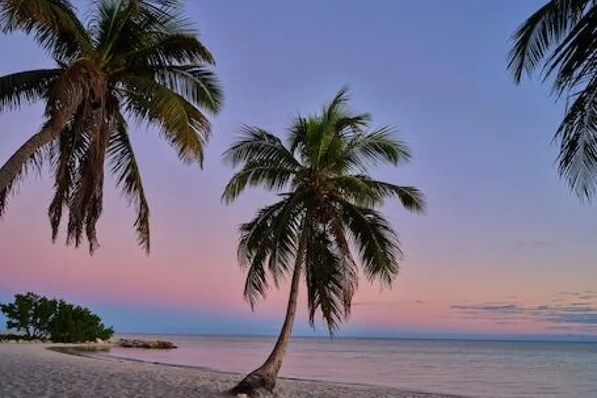 Margaritaville Beach House Key West – Affordable hotel in Key West