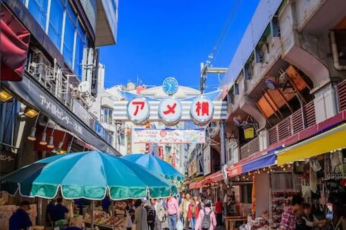 Sotetsu Fresa Inn Ueno Okachimachi – Affordable hotel in Tokyo