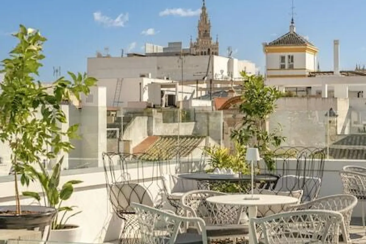 Hotel Vincci Molviedro – Affordable hotel in Seville