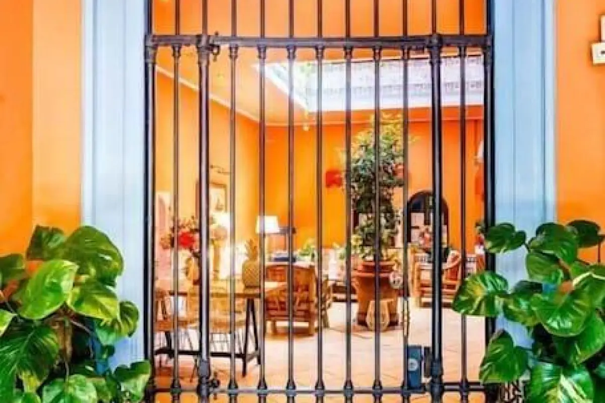 Hotel Patio de la Alameda – Affordable hotel in Seville
