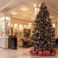 Stanhope Hotel Brussels by Thon Hotels – Affordable hotel in Brussels