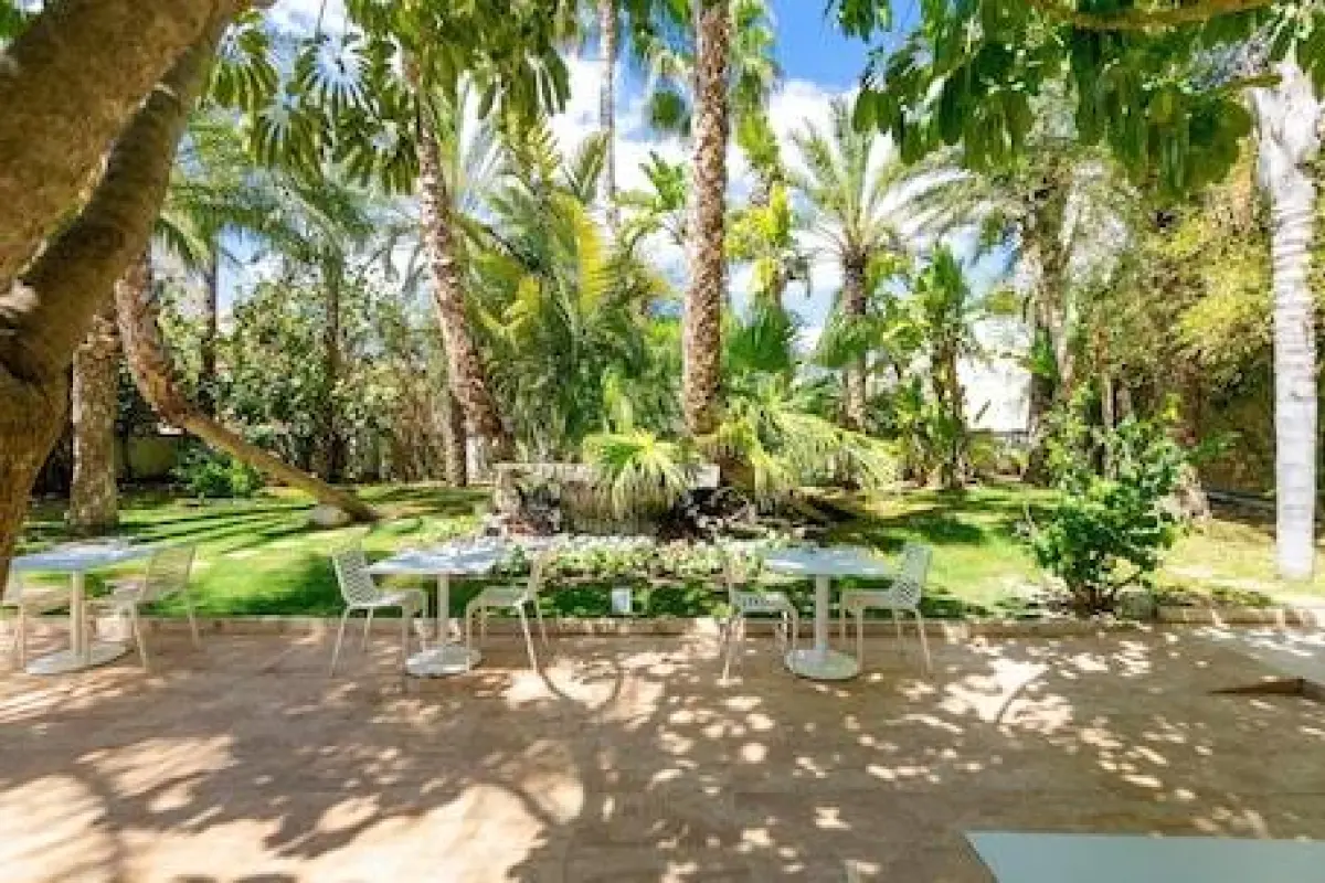 Hotel Areca – Affordable hotel in Elche