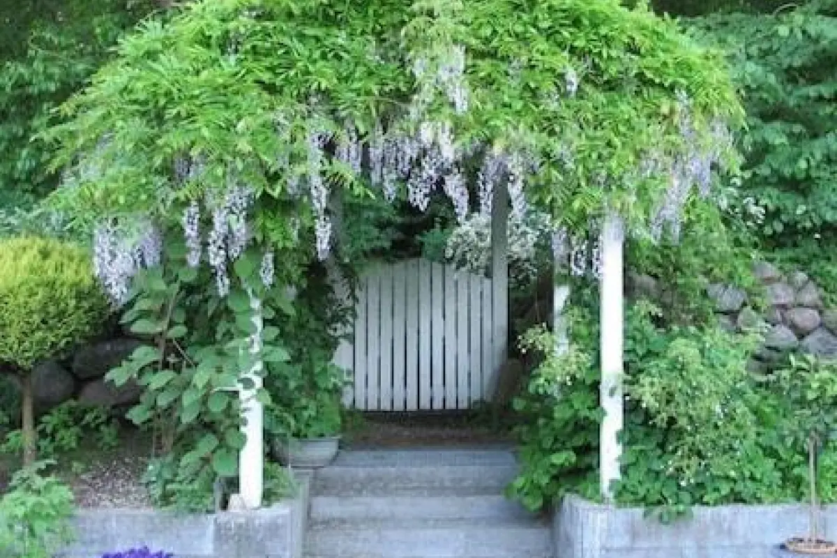 Hotel Villa Brinkly – Affordable hotel in Snekkersten