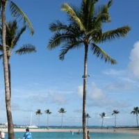 Ilikai Lite – Affordable hotel in Honolulu