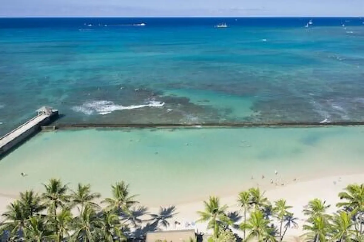 The Twin Fin Hotel – Affordable hotel in Honolulu