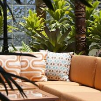 Oasis Hotel Waikiki – Affordable hotel in Honolulu