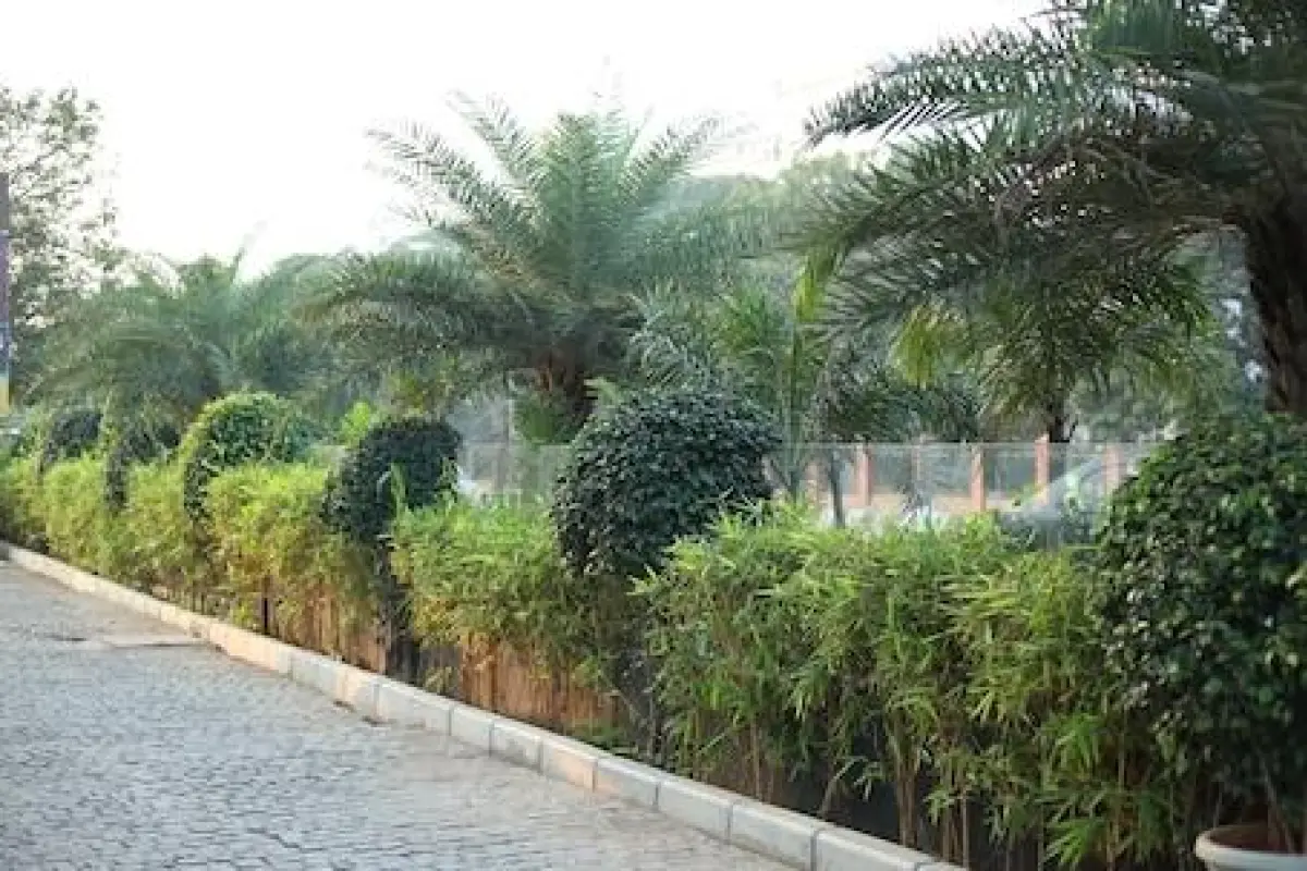 V7 Hotel – Affordable hotel in Chennai