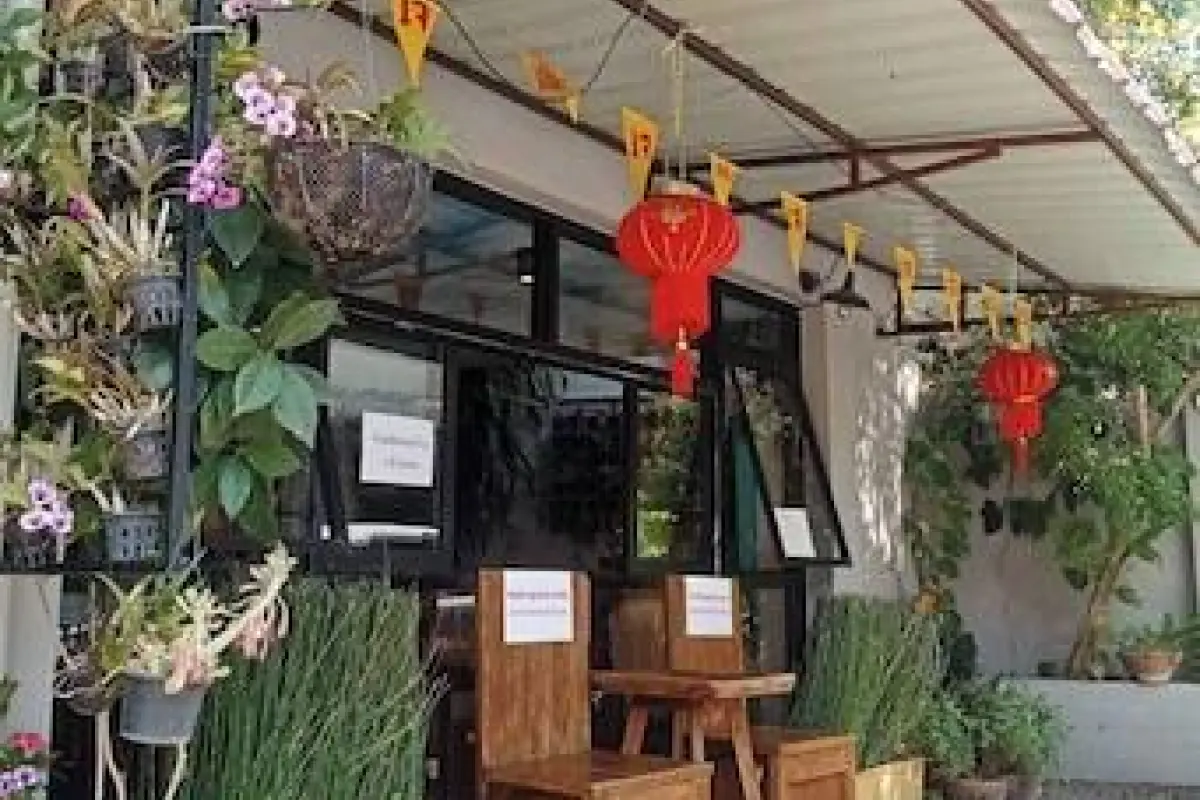 Vlodge House – Affordable hotel in Chiang Mai