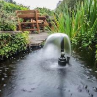 Feather Bed Cottage B&B – Affordable Bed and Breakfast in Coventry