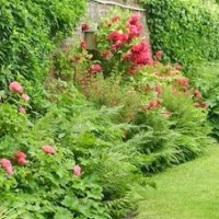 BnB Les Greniers de Madelgaire – Affordable Bed and Breakfast in Soignies