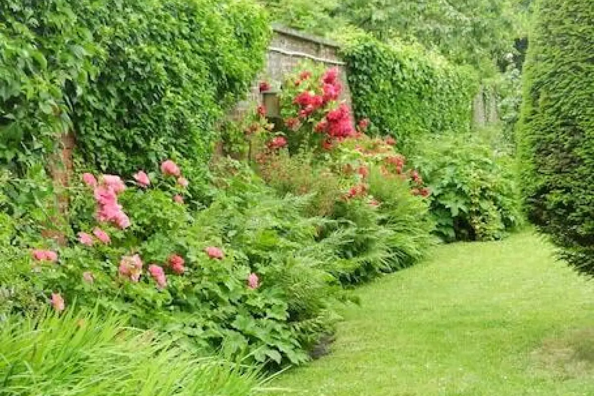 BnB Les Greniers de Madelgaire – Affordable Bed and Breakfast in Soignies