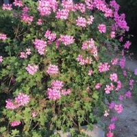 Des Heures Claires – Affordable Bed and Breakfast in Lasne