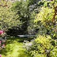 La Maison Chantecler – Affordable Bed and Breakfast in Brussels