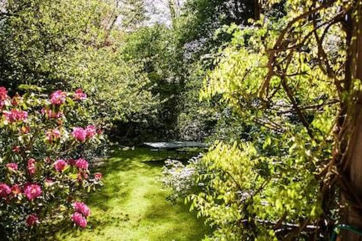La Maison Chantecler – Affordable Bed and Breakfast in Brussels