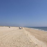 Beach Plum Resort – Affordable hotel in Montauk