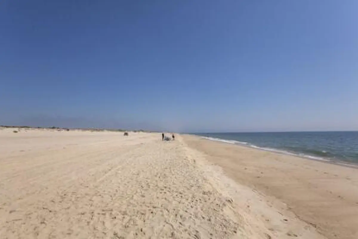 Beach Plum Resort – Affordable hotel in Montauk