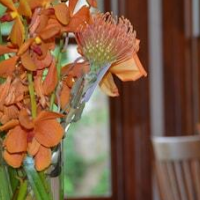 434 on Main – Affordable Bed and Breakfast in Amagansett