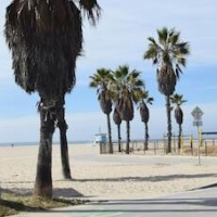 South Venice Lodge – Affordable hotel in Venice