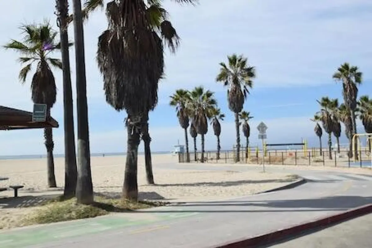 South Venice Lodge – Affordable hotel in Venice