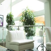 Hollywood Celebrity Hotel – Affordable hotel in Los Angeles