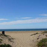 Ocean Surf Inn & Suites – Affordable hotel in Huntington Beach