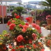 Villa Maria Sant'Angelo – Affordable hotel in Sant'Angelo