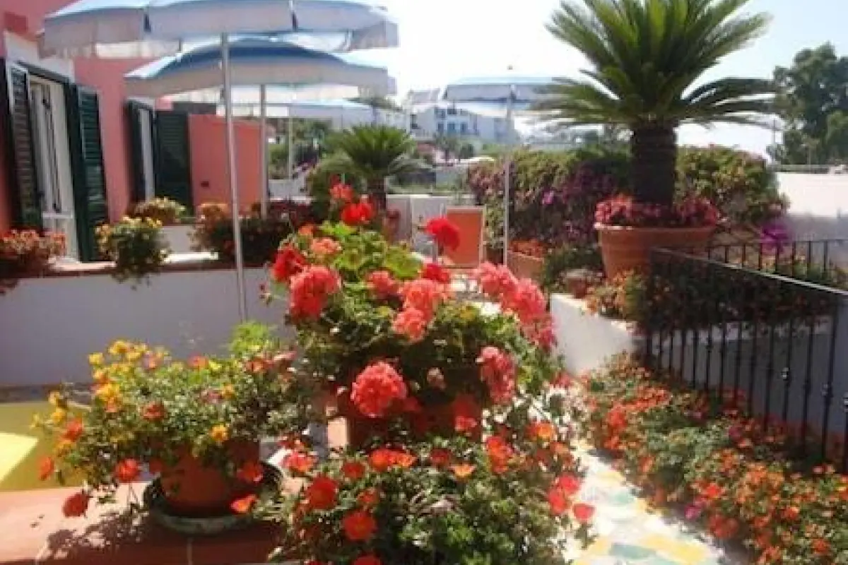 Villa Maria Sant'Angelo – Affordable hotel in Sant'Angelo