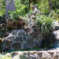 Hotel La Marticana – Affordable hotel in Ischia