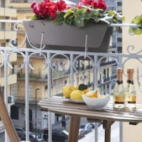 Sun&City Naples – Affordable Bed and Breakfast in Naples