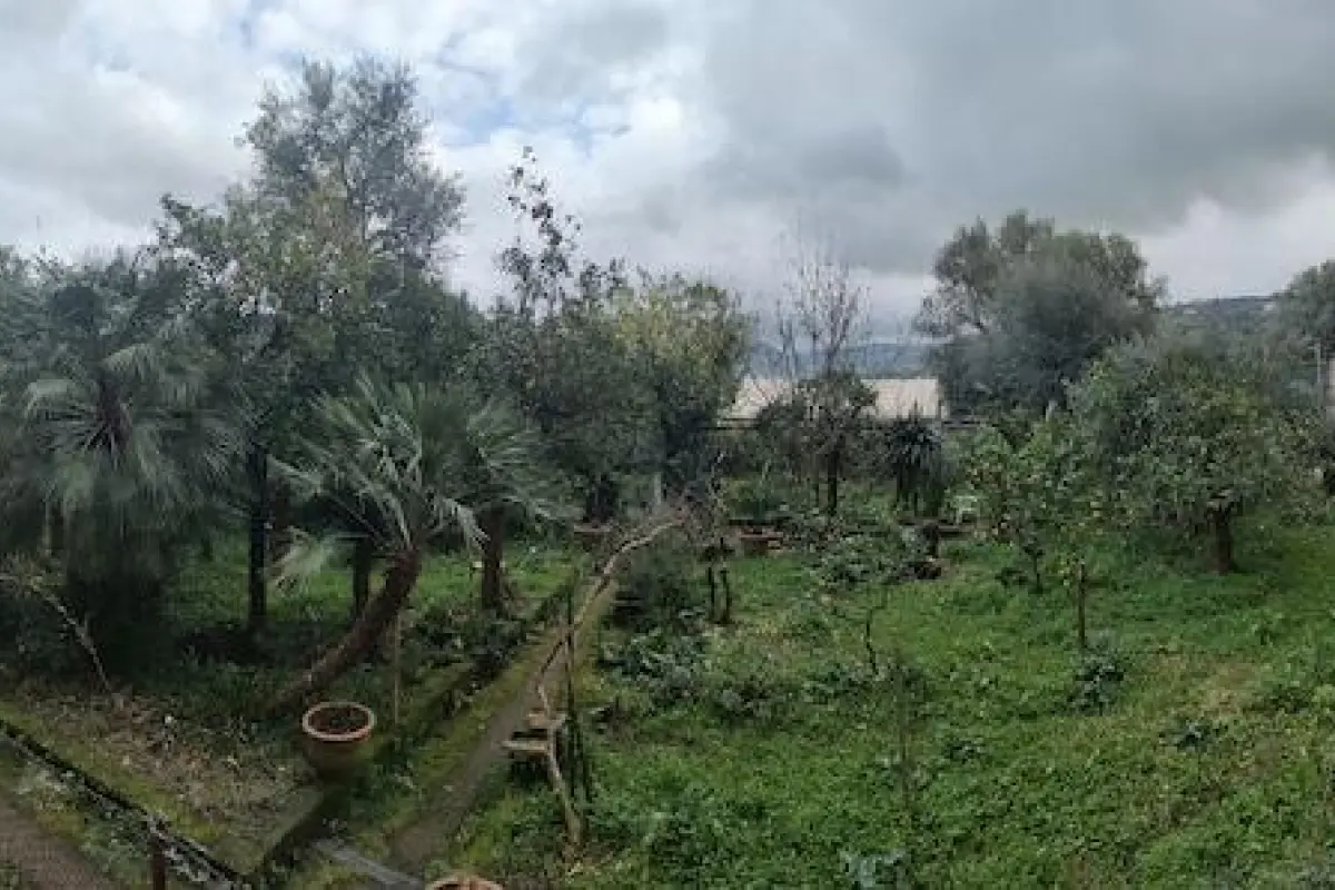 Maison Nanà – Affordable Bed and Breakfast in Sorrento