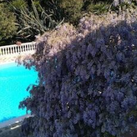 B&B La Marchesa – Affordable Bed and Breakfast in Sant'Anastasia