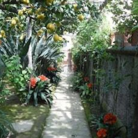 Anthea Domus – Affordable Bed and Breakfast in Sorrento
