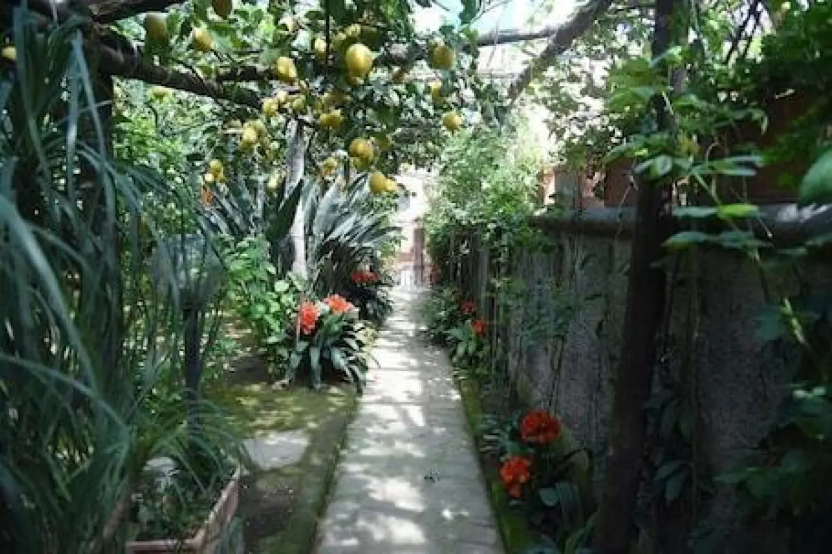 Anthea Domus – Affordable Bed and Breakfast in Sorrento