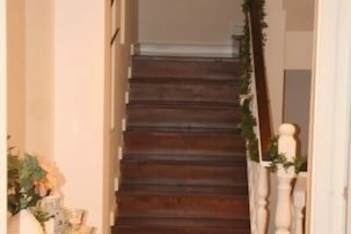 Edera e Camelie – Affordable Bed and Breakfast in Pompei