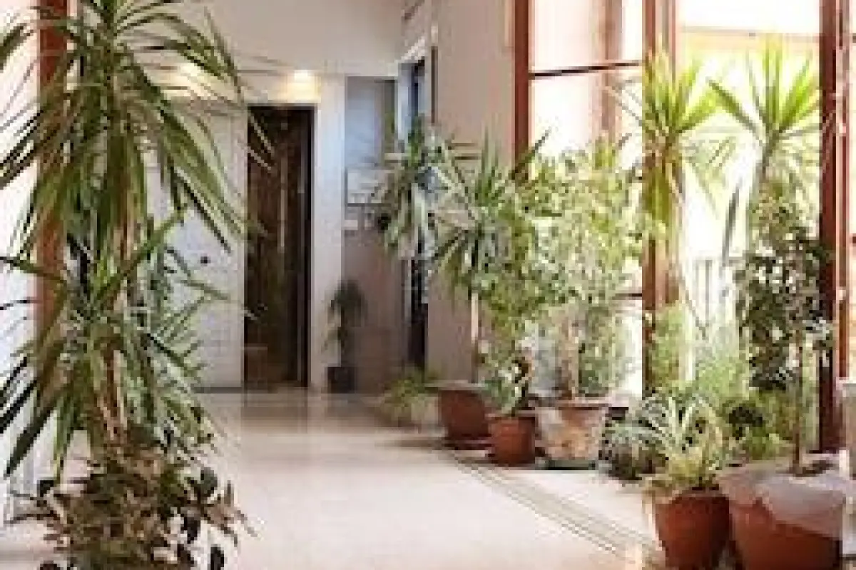 Chocolate's Home – Affordable Bed and Breakfast in Naples