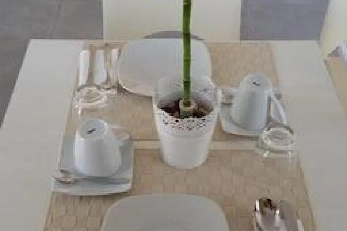 Dodo House Bed & Breakfast – Affordable Bed and Breakfast in Nocera Inferiore