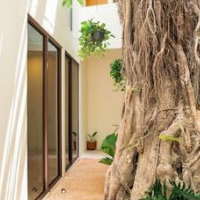 Hotel Florita39 – Affordable hotel in Isla Mujeres