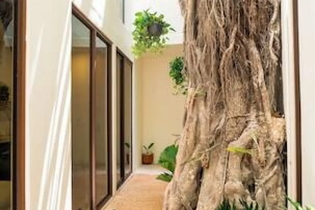 Hotel Florita39 – Affordable hotel in Isla Mujeres