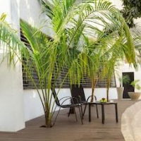 BOK21 – Affordable hotel in Cancun