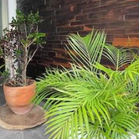 Torre Yaxche 39 – Affordable hotel in Cancun