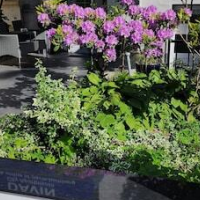 Davin City Apartments – Affordable hotel in Hamburg