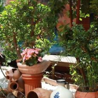 Hotels in Valencia, Valencian Community, Spain