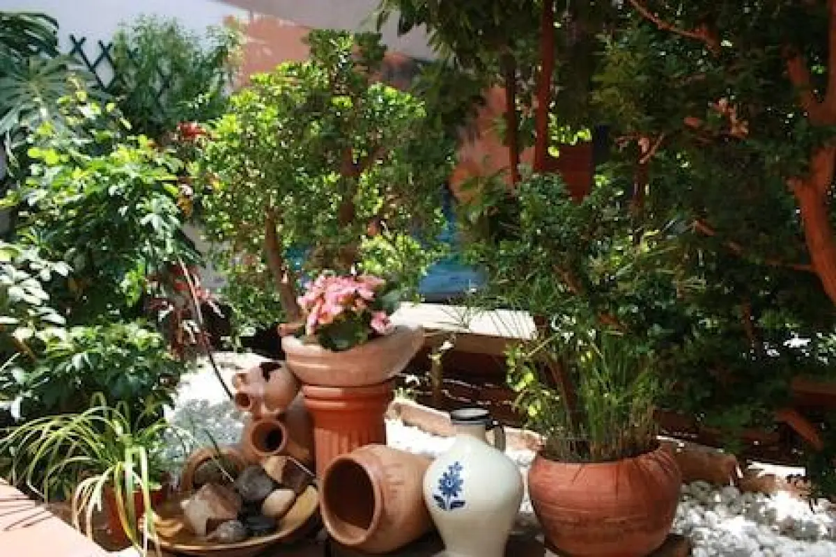 Hotels in Valencia, Valencian Community, Spain