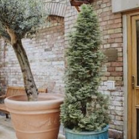 Honigmond Boutique Hotel Berlin - Mitte – Affordable hotel in Berlin