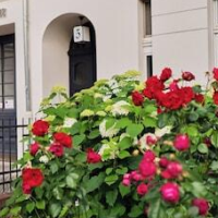 Hotel Lindenufer – Affordable Bed and Breakfast in Berlin